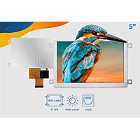 Riverdi SM-RVT50HQLFWN00 TFT LCD 디스플레이 5.0", LVDS, 프레임, 터치 없음