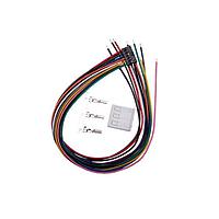 Bộ Cáp Đầu Vào AC và Bộ Tín Hiệu Toàn Cầu cho NEVO600 và NEVO+600 Vox Power CAB-N6