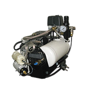 Chromatotec XXX031-D Zero Air Generator (< 0.1 ppb, 310 VA)