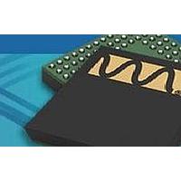 Bộ mã hóa giải mã âm thanh (Audio CODEC), Bộ mã hóa giải mã HiFi công suất thấp cho đa phương tiện di động Cirrus Logic WM8994ECS/R