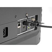 Dây Buộc Khóa Đầu Nối Cáp HDMI Tripp Lite P568-000-LOCK