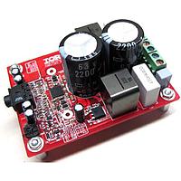 Infineon IRAUDAMP17 オーディオアンプ シングルチャンネル PWR 100W 40オーム IR4302基板