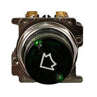 Công tắc chọn 2 vị trí GRN LEV chiếu sáng chịu lực nặng 120V 2NO Eaton 10250T5971FG-5353