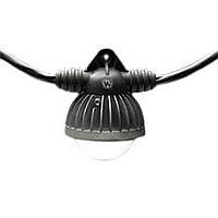 Đèn LED Dây LED STRING 100FT #12/3SOOW 14W 10SKT Molex 1301110117