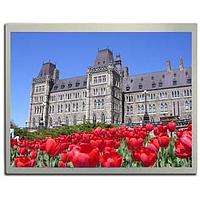 Bộ phát triển màn hình TFT LCD kết dính quang học bao gồm màn hình, bảng đồ họa, bảng OSD, cáp giao diện, cáp đèn nền nếu cần, cáp VGA và DVI cùng bộ nguồn. KYOCERA Display TKL-104SOB-18078-A