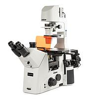 Euromex DI.3053-PLPHFi/HAL Delphi-X三目倒置显微镜 (HWF 10x/25 mm, 10x/20x/S40x)