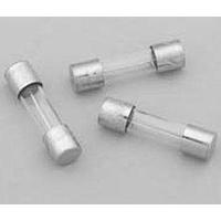 Cầu chì thủy tinh kích thước nhỏ Eaton BK/S506-10-R