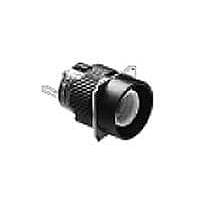 Industrial Panel Mount / Switch Indicators
