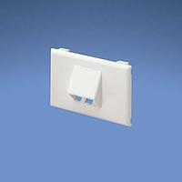 Panduit T70FH2WH Power Rated Fitting Snap-on Horizontal Sloped Communication