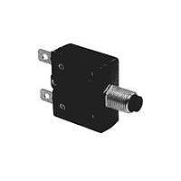 Cầu dao nhiệt 40A AMP Connectors - TE Connectivity W54-XC2A4B10-40