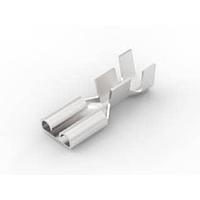 Ổ cắm 250 FAST REC 14-10 AMP Connectors - TE Connectivity 61095-1