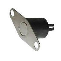 Honeywell 2455RBV00290111 サーモスタット オープンオンライズ、15A/10A 自動リセット