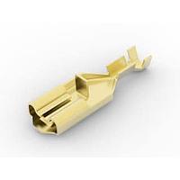 Ổ cắm .250 MKII POSI-LOCK AMP Connectors - TE Connectivity 63119-2