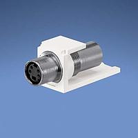 S-Video Mod S-Video Truyền Qua Màu Trắng Ngà Panduit CMSVCIWY