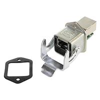 Đầu Nối Mô-đun / Đầu Nối Ethernet RJI IP67DATA 3A PANL F/ THR. SP. CHROM HARTING 09452151104