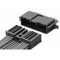 Đầu nối 21CIR GRAY KEY B Nam Lắp ráp JST Automotive S21BA-ATL-2BH