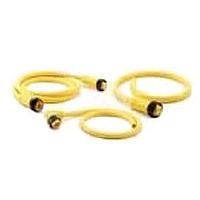 Cáp Cảm Biến / Cáp Bộ Chuyển Động DeviceNet Dày Mini Rec 5 Chân Cái 1 Amphenol SINE Systems MN54PD01M010