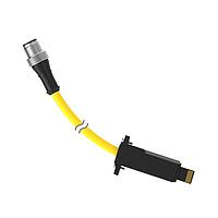 Banner Engineering DELPE-81DPUR Sensor Cables / Actuator Cables Cordset: Double Ended M12 to LP-Custom; 8-pin Straight Male; 11-pin Straight Male; 0.3 m 8x22 Black PUR Jacket; Nickel-Plated Brass Coupling Nuts