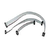 Ribbon / IDC Cables