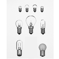 PHYWE 06160-03 Bulb (6V/0,1A, E 10)