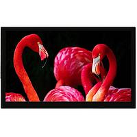 Riverdi SM-RVT70HSMNWCA0 TFT LCD 디스플레이 7.0", MIPI, 프레임 없음, atouch CTP, 에어 본드