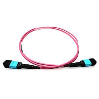 Bộ cáp quang sợi quang MTP12-M, chiều dài 1m Techway EXTENDER MTP12-M 1M