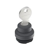 Công tắc khóa RAFIX 22 FS+ Công tắc khóa 2x40 RAFI 1.30.275.101/0700