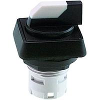 RAFI 1.30.073.691/2000 Switch Actuators RAFIX 16 Selector switch 2x40