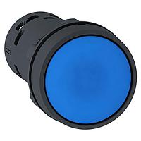 Lò Xo PB Flush Rtn Xanh Dương NO+NC SCHNEIDER XB7NA65