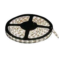 Thanh và Dải Đèn LED 24VDC IP20 Dải Đèn, 120LED/M, 3000K 80CRI, 12"Rộng/12"Dây American Bright LED AB-FA02430-19712-8A1-12S