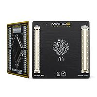Thẻ MCU MCU CARD 13 cho STM32 STM32F100ZE Mikroe MIKROE-3784