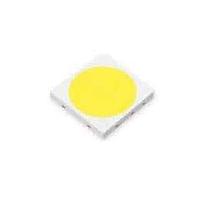 LED trắng
