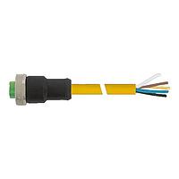 Đầu nối Mini (7/8) 4 cực, cái 0 có cáp, PVC 4x16 AWG vàng UL/CSA, STOOW 10m Murrelektronik 7700-A4021-UBC1000