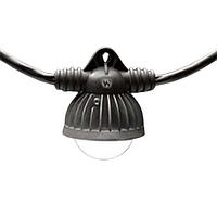 Đèn LED Dây LED DÀI 100FT #12/3STW 14W 10SKT Molex 1301110102