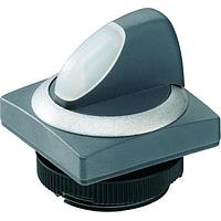 RAFI 1.30.272.351/2207 开关执行器 选择开关 2x60