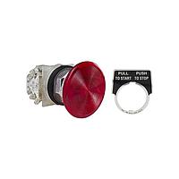 Công tắc nhấn PSH BTTN 600VAC 10A 30MM, Loại K Square D 9001KR9R21H13