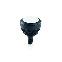 Công tắc tiêu chuẩn RAMO 22 T M12 1NO Trắng FL RAFI 1.10.011.201/0201