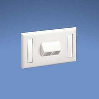 Panduit NK2HSFIGY Wire Ducting & Raceways NetKey Horizontal Sloped Screw-On Facepl
