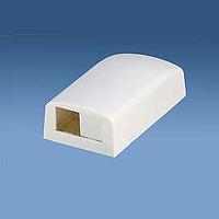 Panduit CBX2IG-AY Wire Ducting & Raceways Surf Mount Box 2 Port Intl Gray