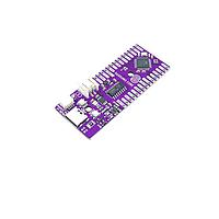 Bo mạch phát triển Vi điều khiển Atmel ATmega328, 22 chân GPIO, không có đầu nối Soldered 333037