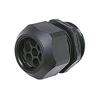 Dây Kẹp LTCG PG29 Đen 4-9.5MM Kèm 3177 Heyco M3225GAX