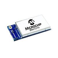 Mô-đun WiFi ULP WiFi 802.11 b/g đầu nối nUFL Microchip Technology RN131G-I/RM481