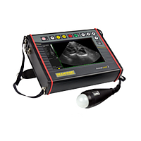 DRAMINSKI ANIMAL profi 2 ເຄື່ອງສະແກນ Ultrasound (with 1 abdominal probe)