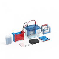 JEIOtech VEP-TB Vertical Electrophoresis System