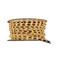 Thanh và Dải Đèn LED 2700K, 50 Mét Loại Siêu Sáng Inspired LED 3572