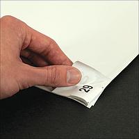 THORLABS ESD2436 ຜ້າປູບ່ອນຍ່າງສະອາດ (24" x 36")