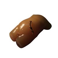 True Phantom Solutions US-S02 Newborn Torso For X-Ray CT, US