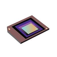 Texas Instruments DLP5534AFYKQ1 Automotive DLP® 自動車用 0.55インチ 405nm デジ