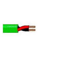 Belden 5500UG 005C500 Sound, Security and Alarm 2 #22 PP FRPVC