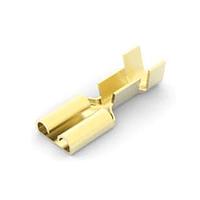 Ổ cắm .250 FAST REC IS BR AMP Connectors - TE Connectivity 41445